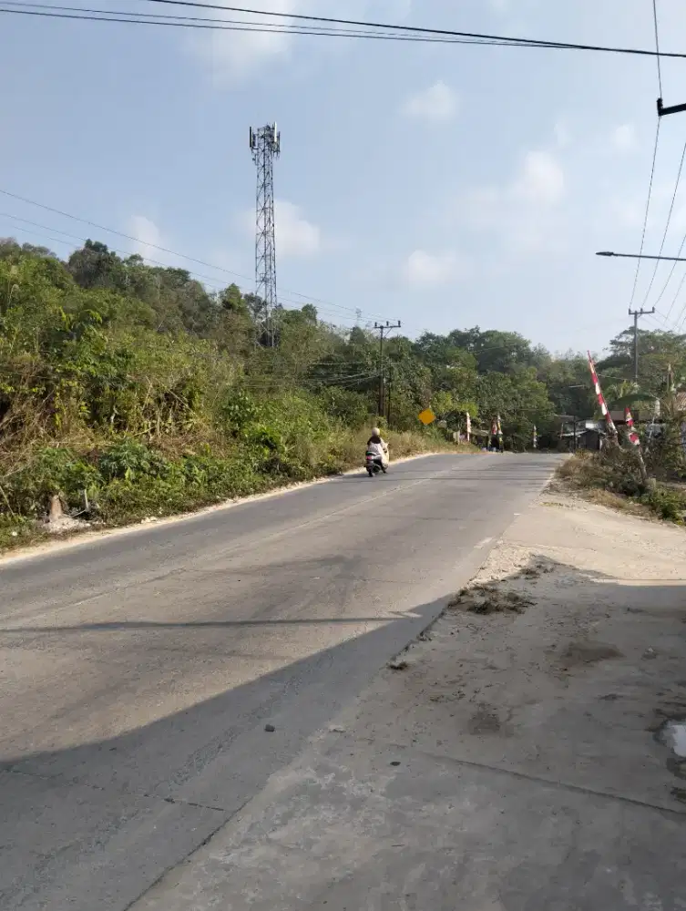 JUAL TANAH UKURAN 290*50 METER