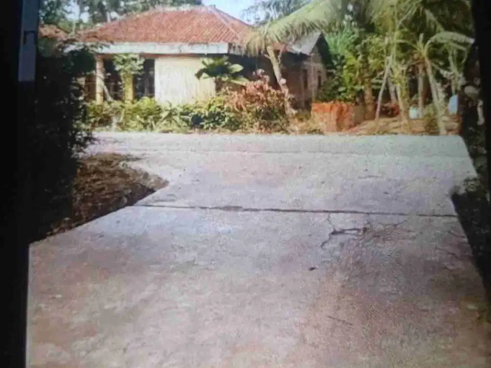 di jual bedeng 10 pintu