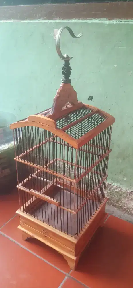 Kandang Burung Pleci