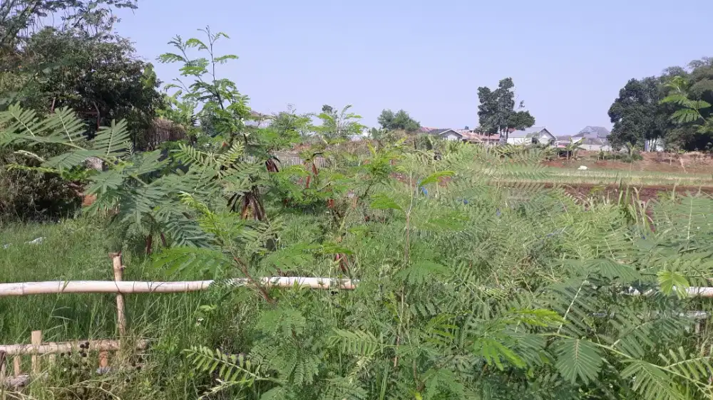 LAHAN LUAS di CISARANTEN KOTA BANDUNG