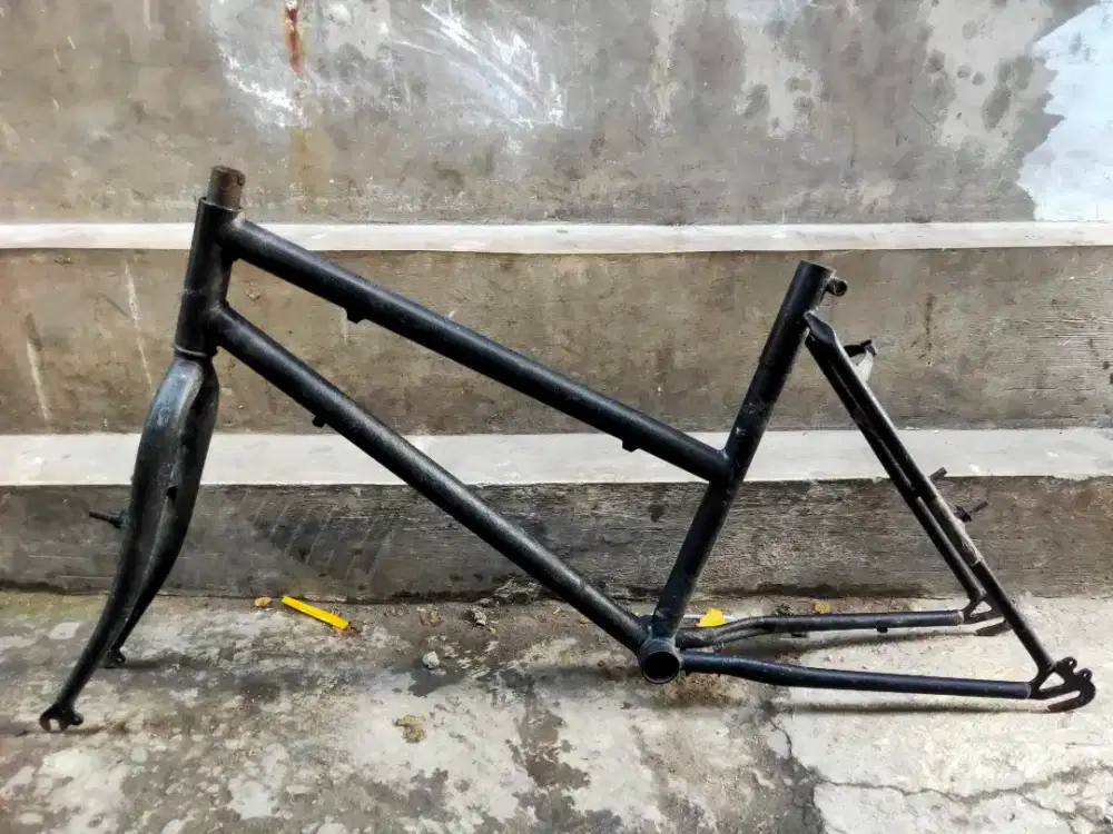 Frameset Lady Size 18 Rim 24
