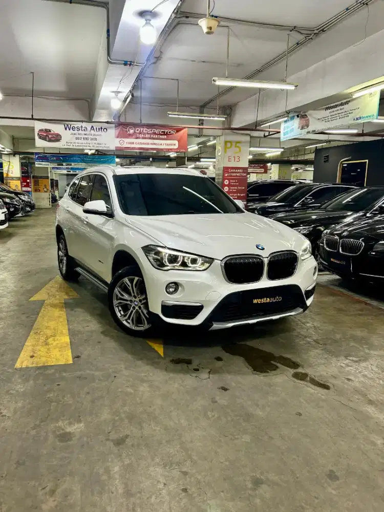 Panoramic ODO 36b BMW X1 Xline Sdrive F48 AT 2016 Antik 2017