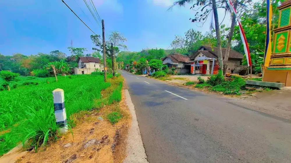Sawah tepi jln propinsi MOJOGEDANG KARANGANYAR