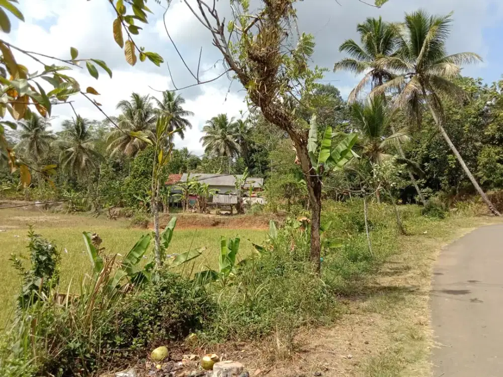 Dijual Tanah/Sawah Luas 2.328 m² – Blok Cikembang Tengah - Desa Karyamandala - Salopa, Tasikmalaya