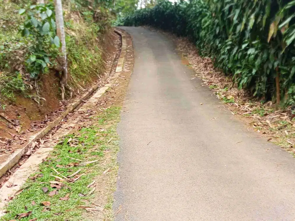 tanah darat dan sawah