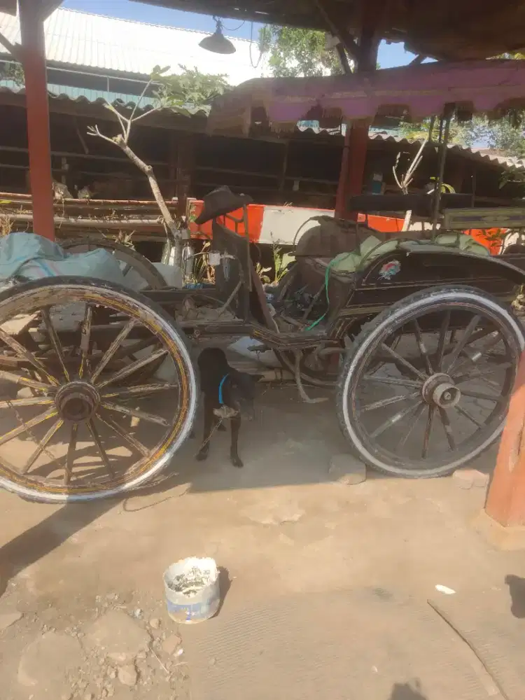 andong 4 roda, bisa TT motor.