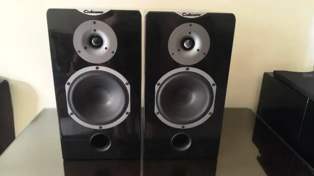 Speaker CABASSE FRANCE no jbl,Pioneer,wharfedale
