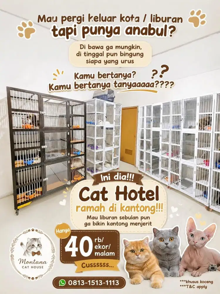 Cat Hotel / Penitipan Kucing