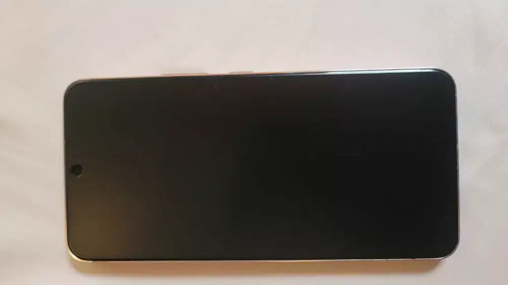 Samsung Galaxy S22