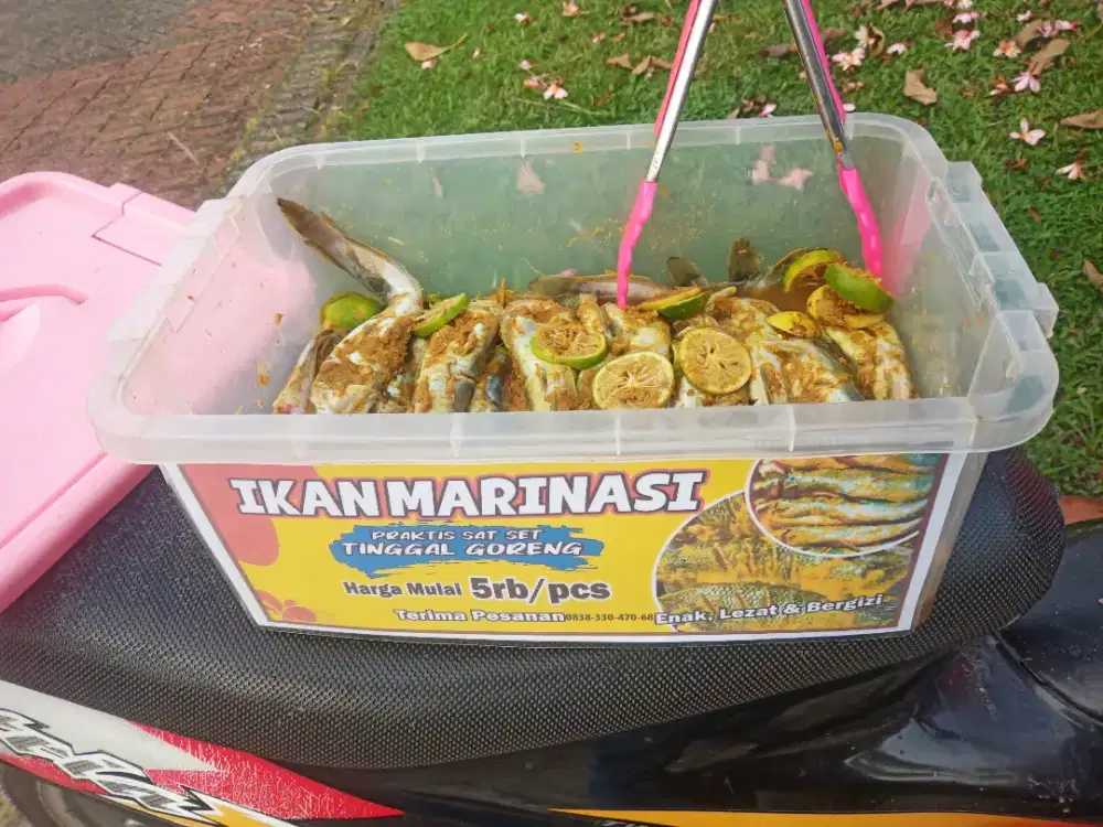 bisa COD - Ikan Lele Marinasi