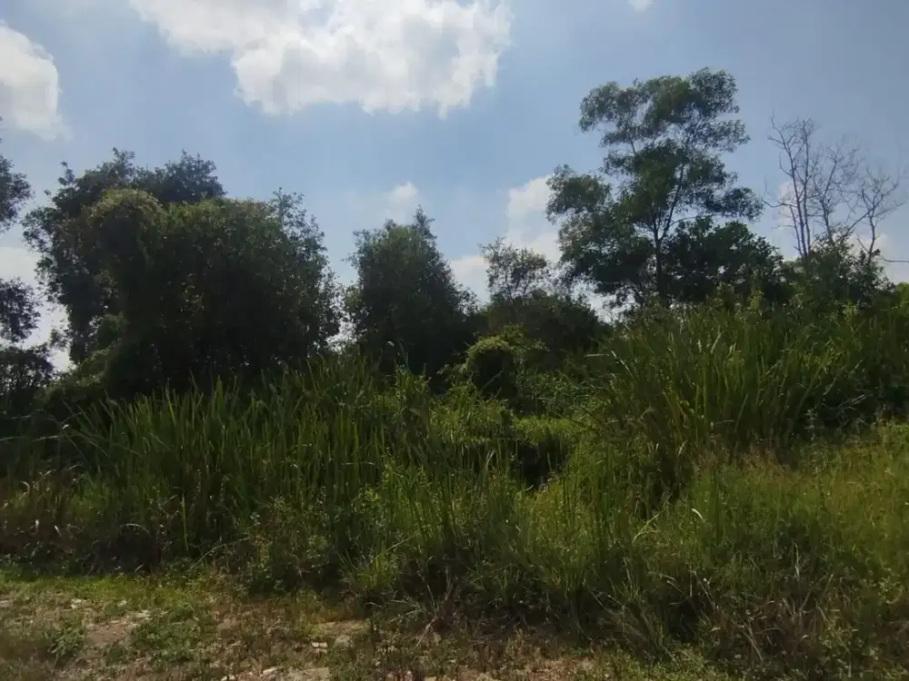 DIJUAL TANAH KARYA JAYA KERTAPATI PALEMBANG