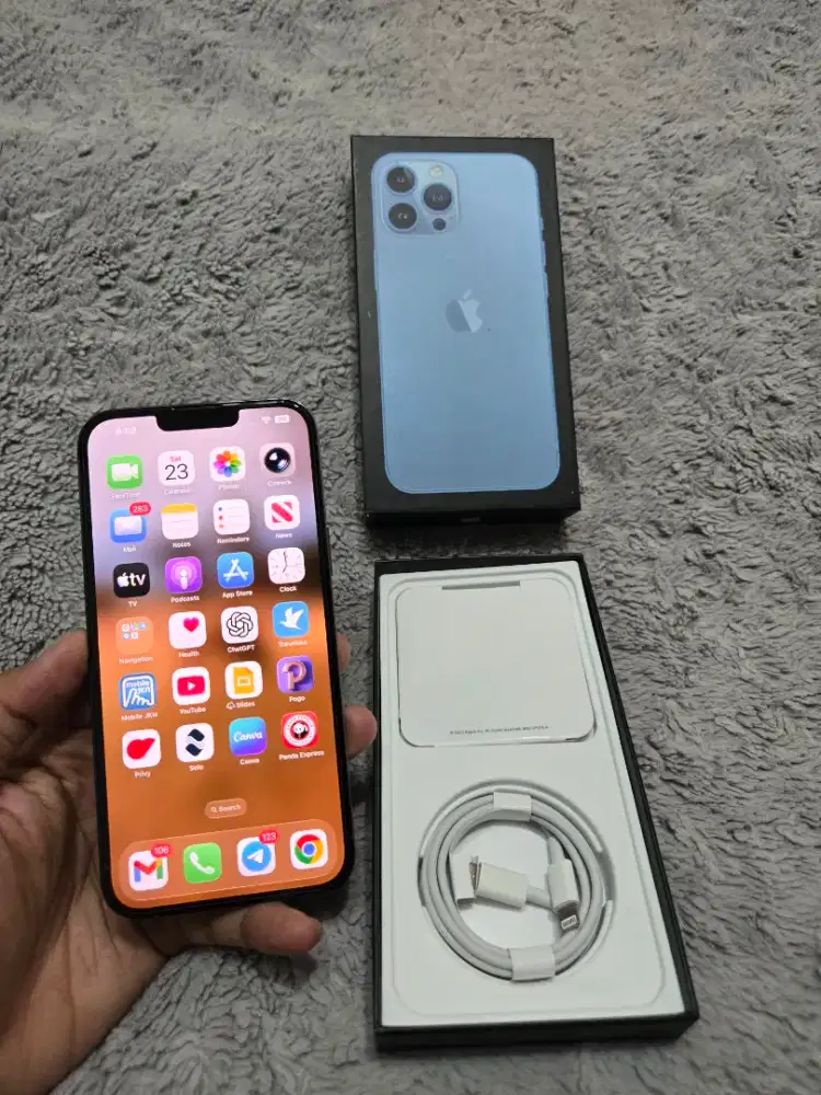 [Seperti baru] iPhone 13 Pro Max 256gb Sierra Blue