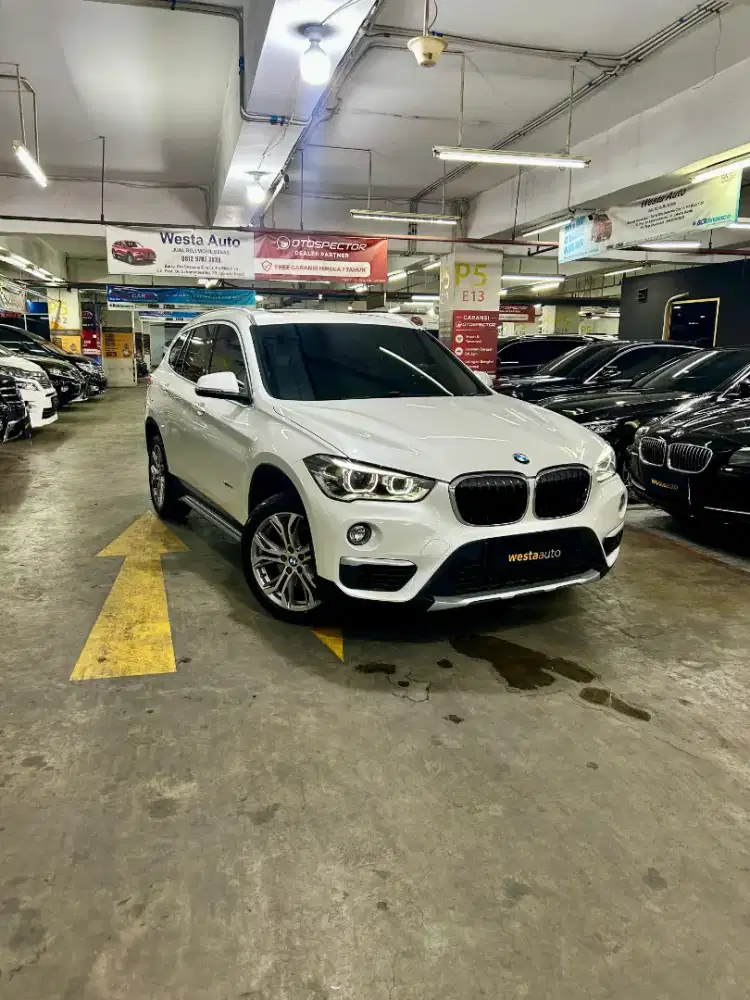 Panoramic ODO 36b BMW X1 Xline Sdrive F48 AT 2016