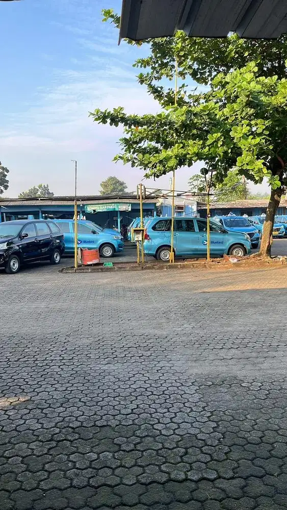 Lowongan driver blue bird