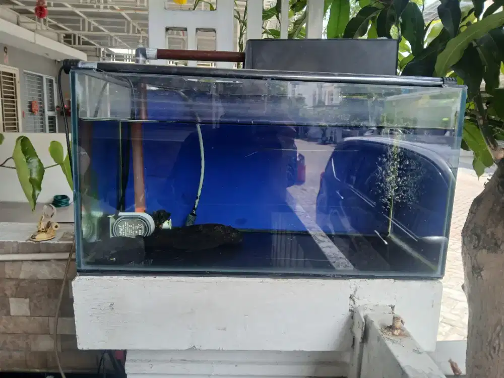 Aquarium dijual