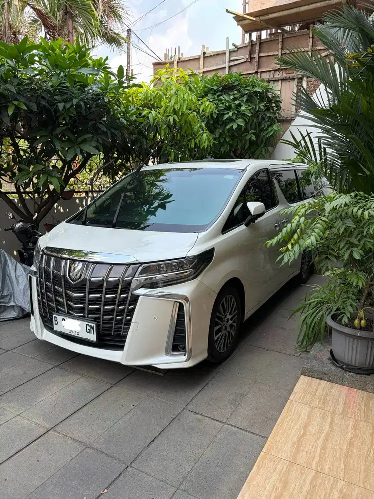 Toyota Alphard 2016 G ATPM Bodykit