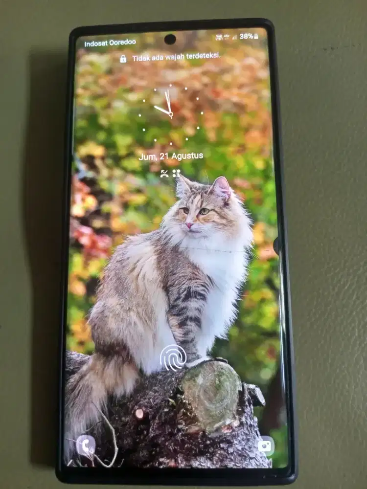 Samsung Note 10+ /12/256GB