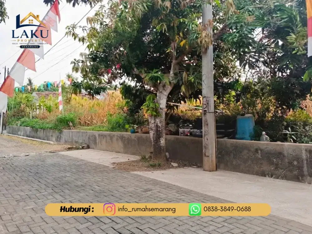 Tanah Kebun Luas 5414 m² di Podorejo Ngaliyan - Cocok untuk Investasi/Agrowisata