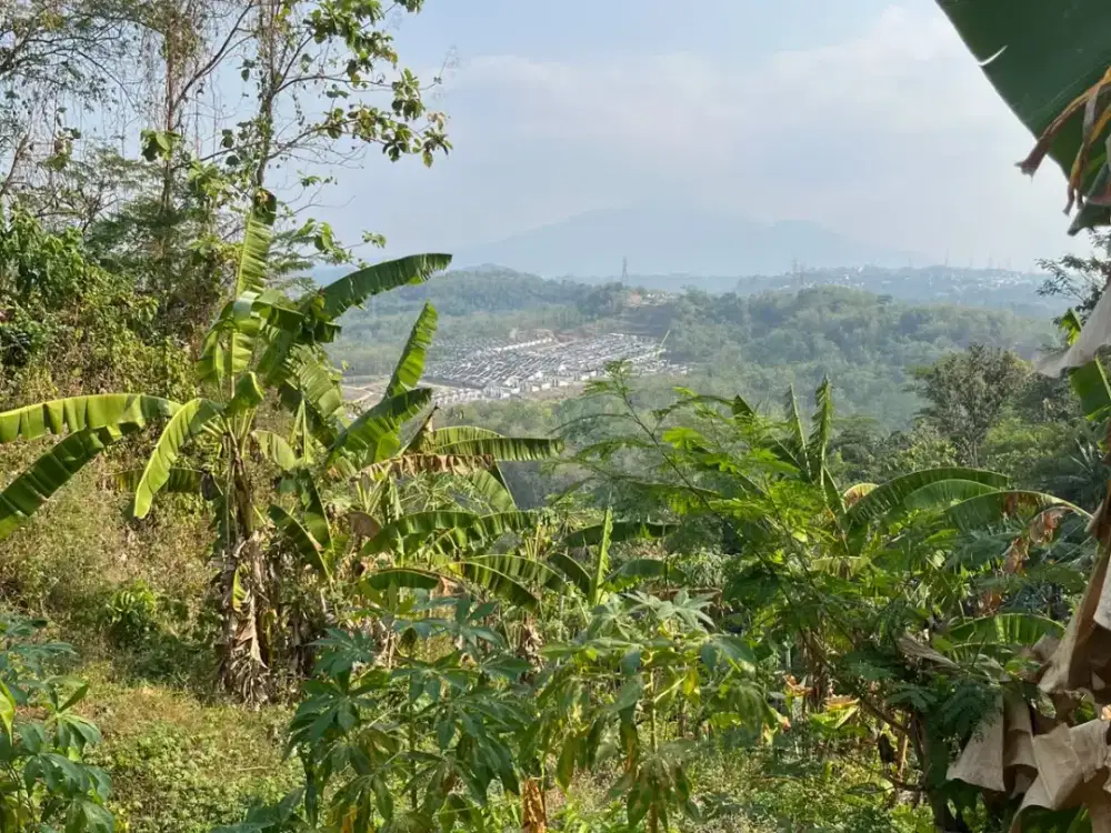 DIJUAL CEPAT TANAH STRATEGIS TEMBALANG SEMARANG