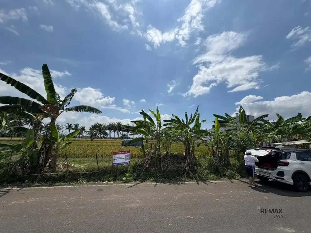 Tanah Strategis 6,31 Are Dijual di Kedungu - Cocok untuk Investasi