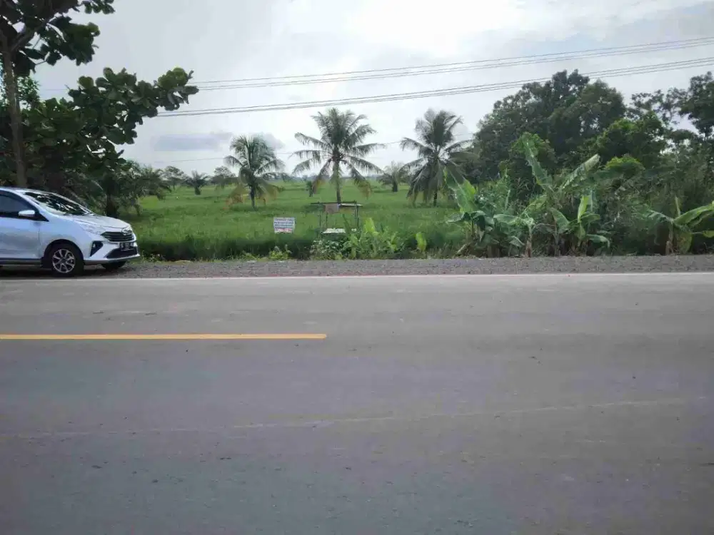 Tanah ± 4 Ha PU TAA tanjung api api pabrik gudang Murah Palembang banyuasin