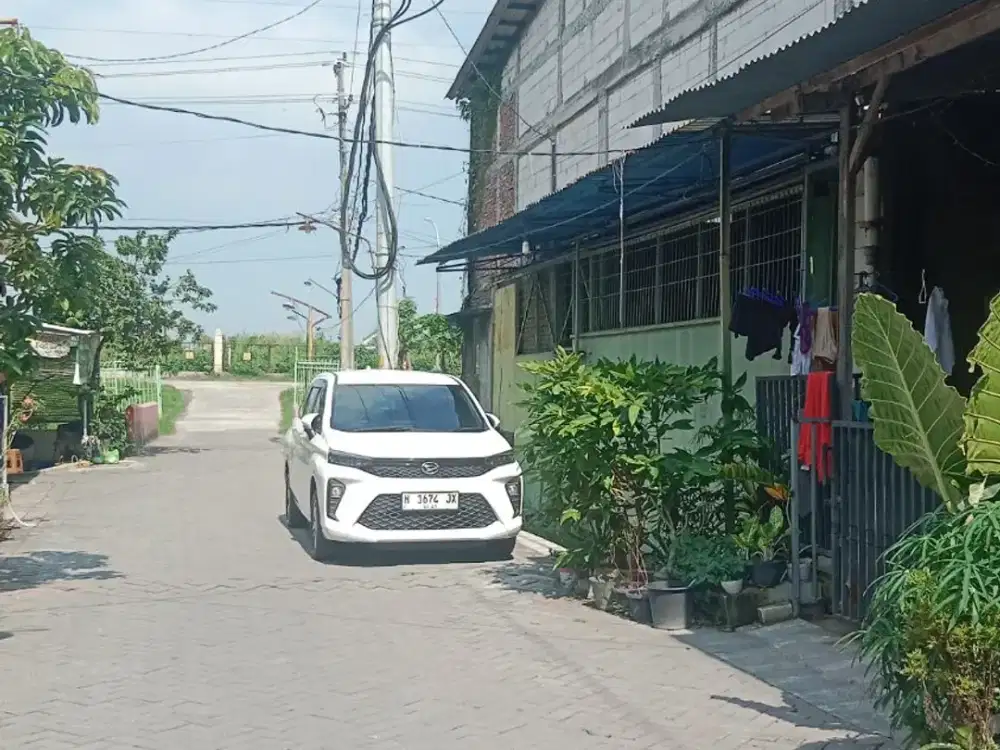 Lelang Gudang SHM Rp700 Juta di Gayamsari, Cocok untuk Warehouse, Workshop & Investasi