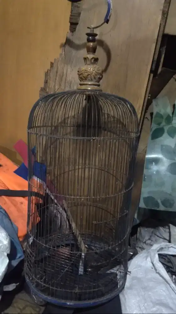 Kandang burung kandang besi
