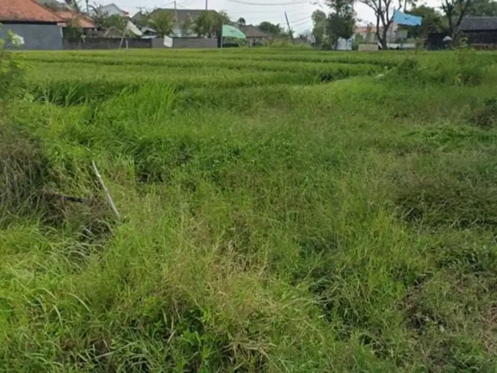 Kavling Langka Murah di Surabaya Barat Lokasi Woodland Citraland