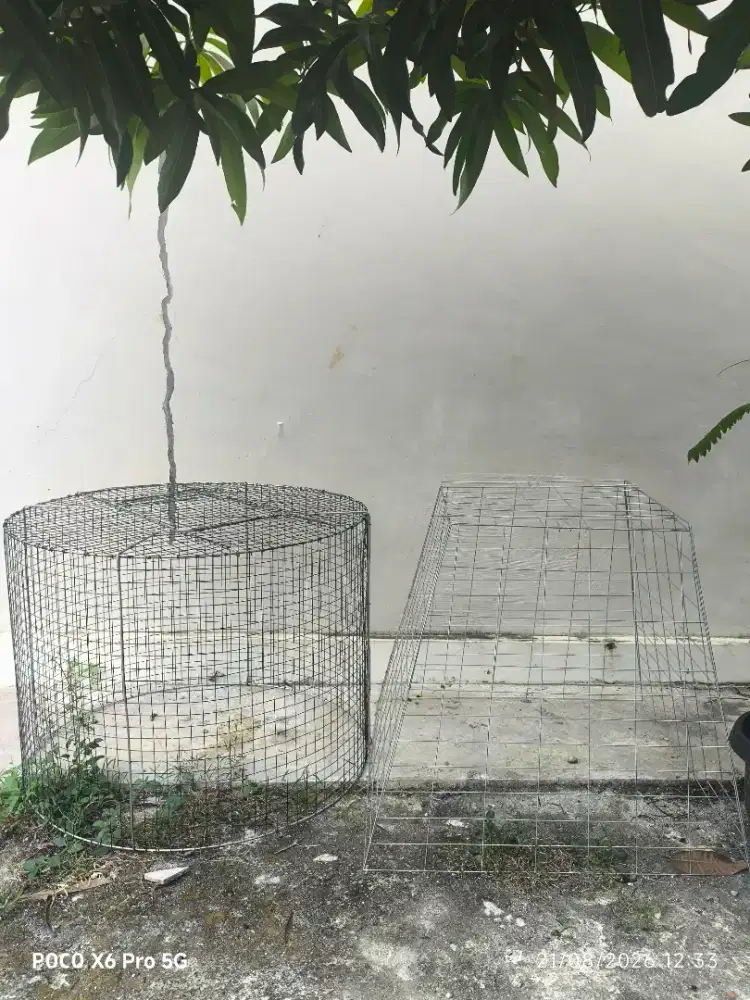 SONGKOK KURUNGAN AYAM