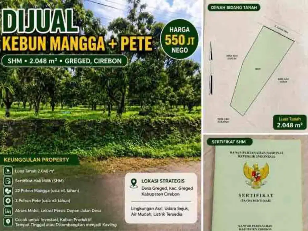 tanah Kebon mangga dan Pete cirebon