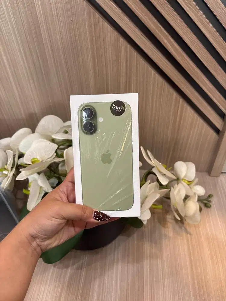 Iphone 17 256 GB sage