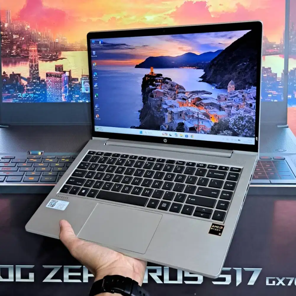 Hp Probook 445 G8 AMD Ryzen 5-5600U RAM 16GB SSD 256GB