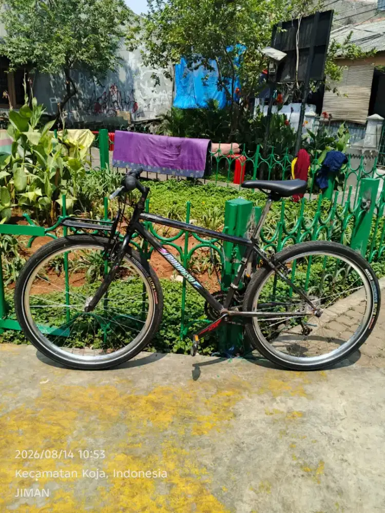 Sepeda Vinteg Frem USA,ring 26
