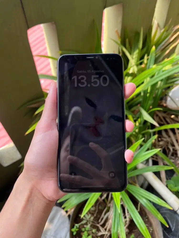 Ipnoe xs max 256