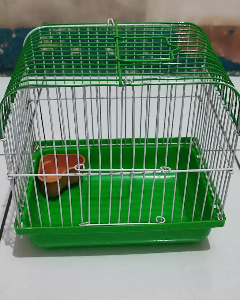 Kang Hamster Kecil