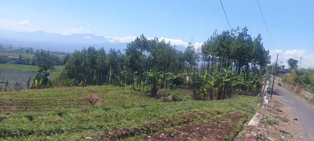 Dijual cepat tanah 4.280 m