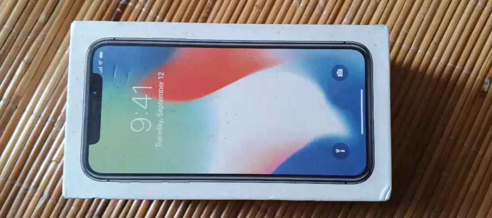 iPhone X 256 GB