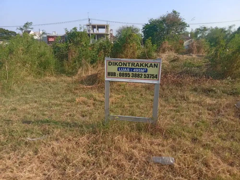 Jasa tebang pohon dan potong rumput