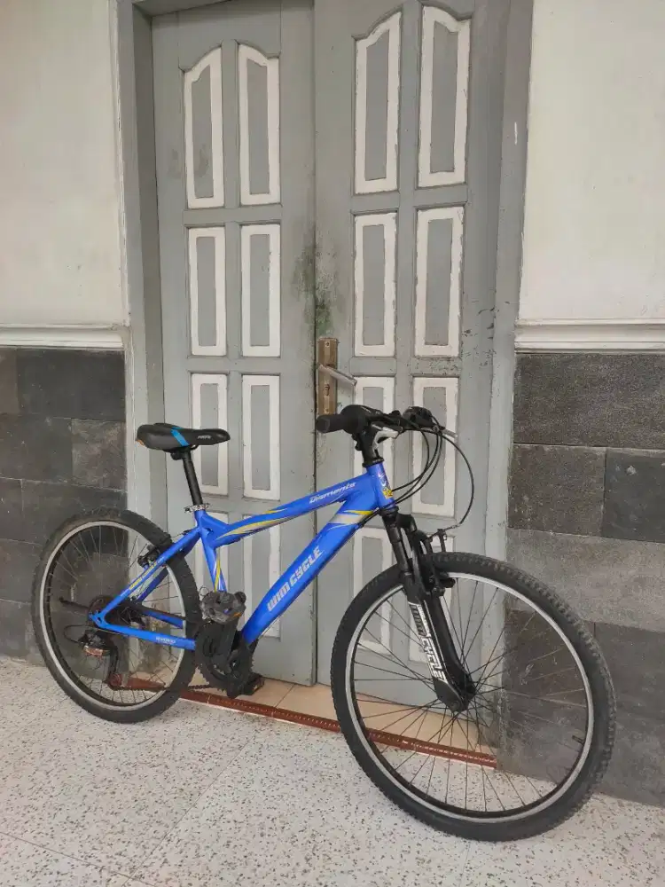 Wimcycle Diamonte ukuran 24
Untuk anak SD / SMP