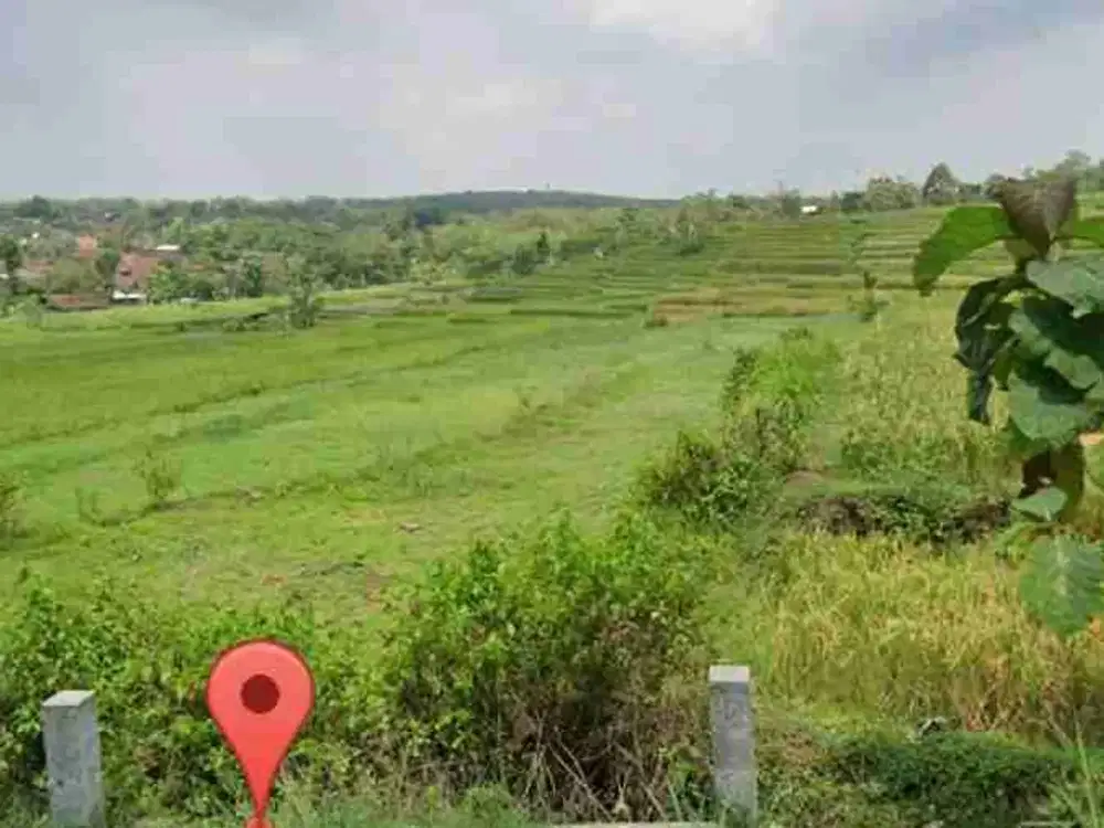 dijual tanah sawah strategis pinggir jalan PU mangku aspal