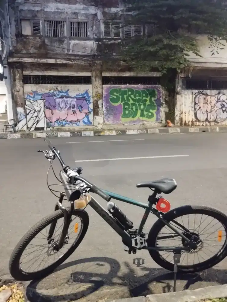 Element coyote 26