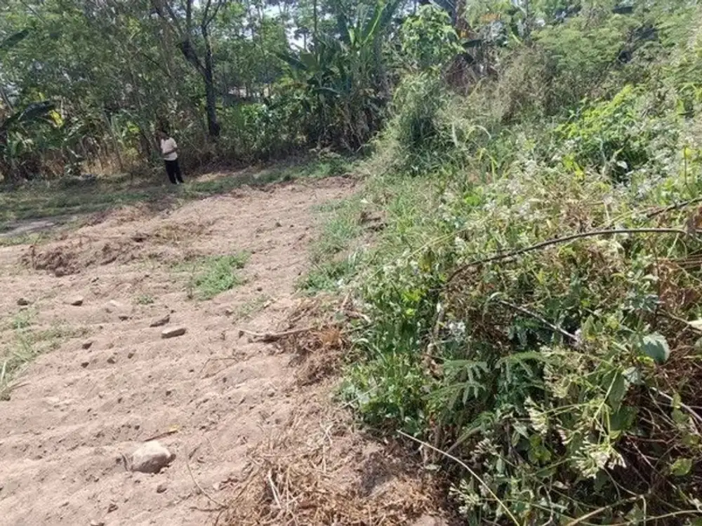 Tanah Luas Cocok Untuk Perumahan Baru di Daerah Wedomartani - Ngemplak Sleman