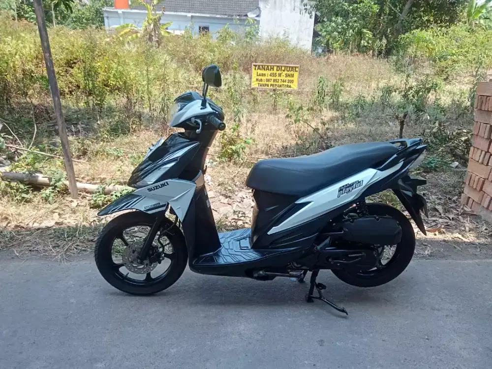 Suzuki address playful