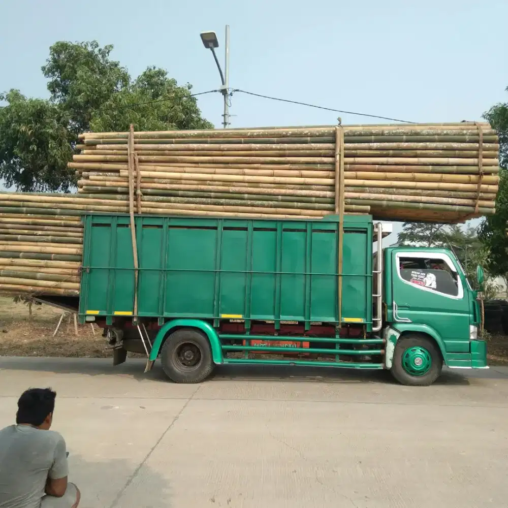 Bambu steger dan kso