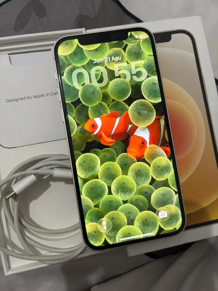 Iphone 12 128 resmi ibox