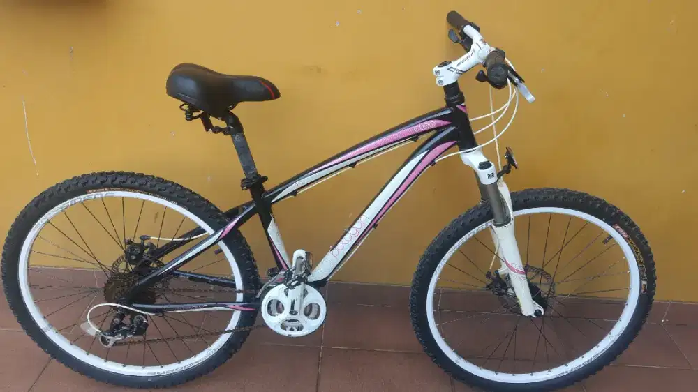 Polygon Cleo 3.0