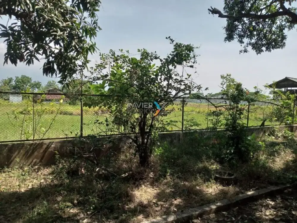 Dijual Tanah, Lahan di Daerah Grati, Sumberanyar Sumur Waru Nguling, Pasuruan