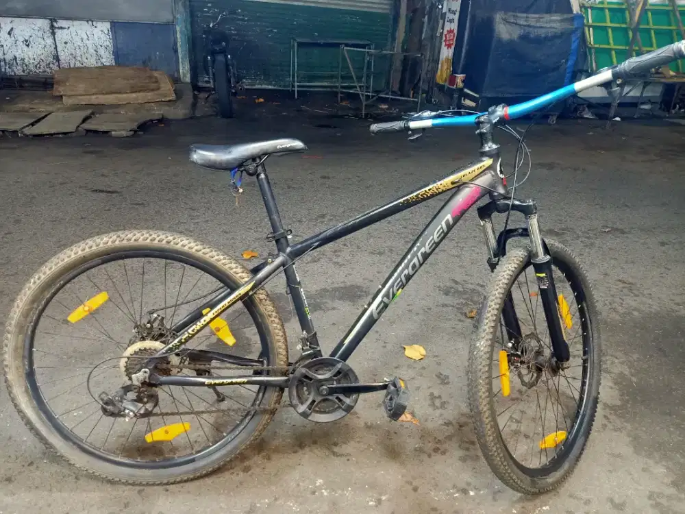 JUAL CEPAT SEPEDA EVERGREEN BLAZE 685
