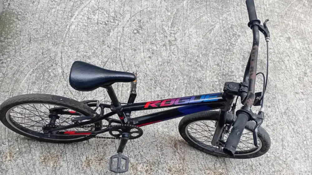 Polygon BMX Rogue