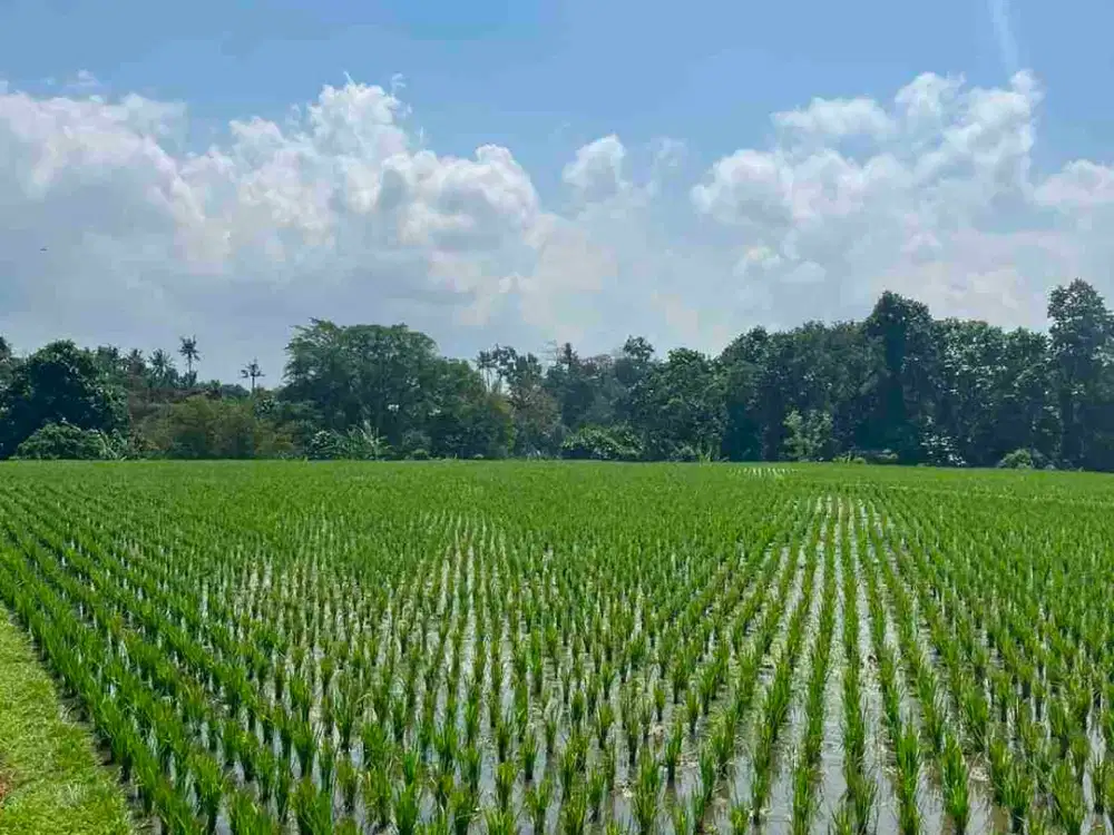 land for leasehold